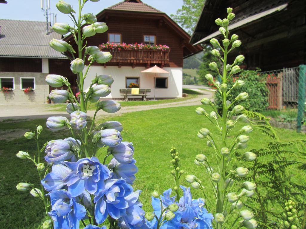 Appartamento Der Hoferbauer Bad Kleinkirchheim Esterno foto