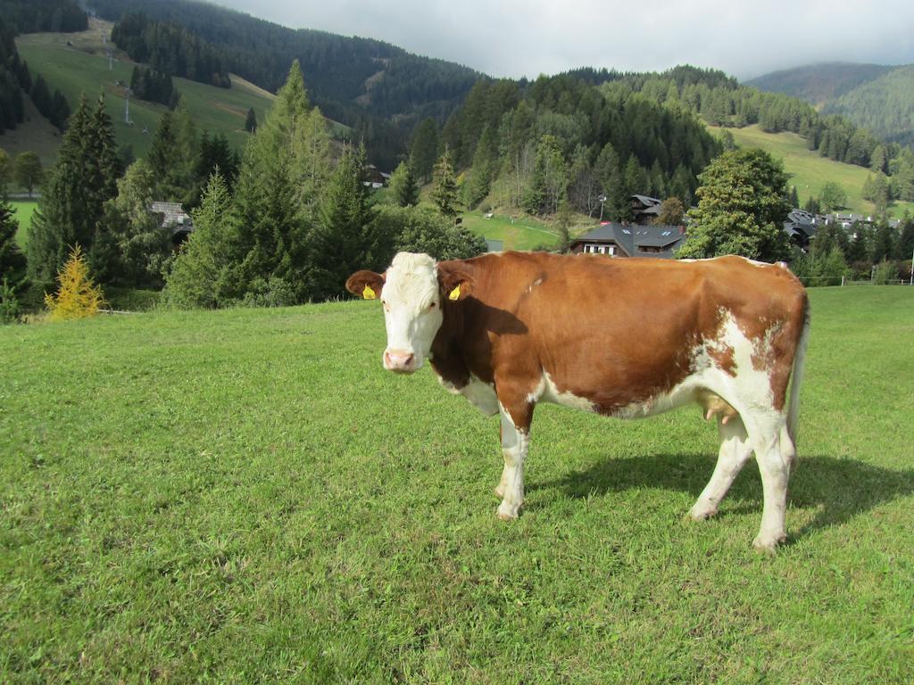 Appartamento Der Hoferbauer Bad Kleinkirchheim Esterno foto