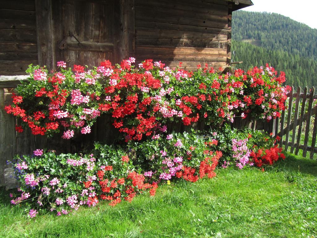 Appartamento Der Hoferbauer Bad Kleinkirchheim Esterno foto