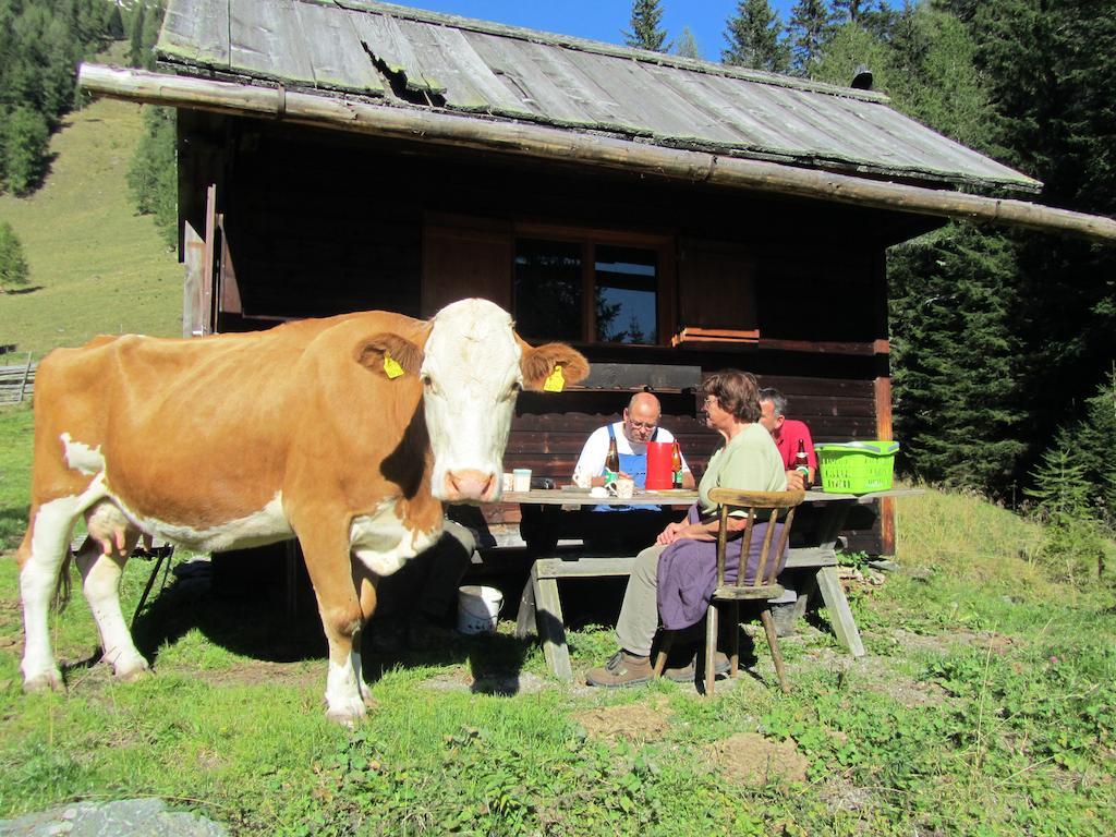 Appartamento Der Hoferbauer Bad Kleinkirchheim Esterno foto